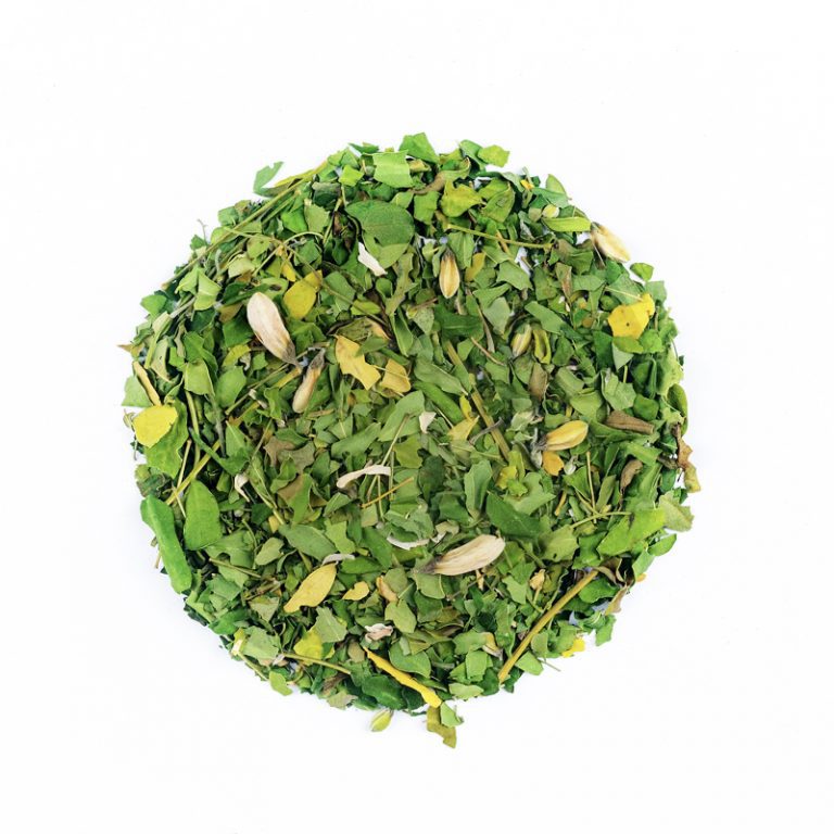 Moringa - Image 2